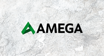 Детальный обзор деятельности брокера AmegaFX, анализ отзывов