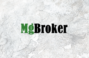 Мошенники в деле: обзор компании MgBroker и отзывов о ней