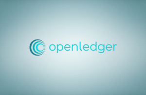 Подробный обзор OpenLedger – биржи с «фиатными» смарткоинами, отзывы пользователей