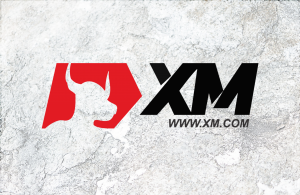 XM Review and Tutorial 2020
