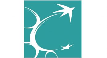 Детальный обзор брокерской конторы Partner Groupe и реальные отзывы вкладчиков